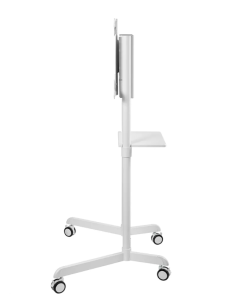 Neomounts - Support de sol 2